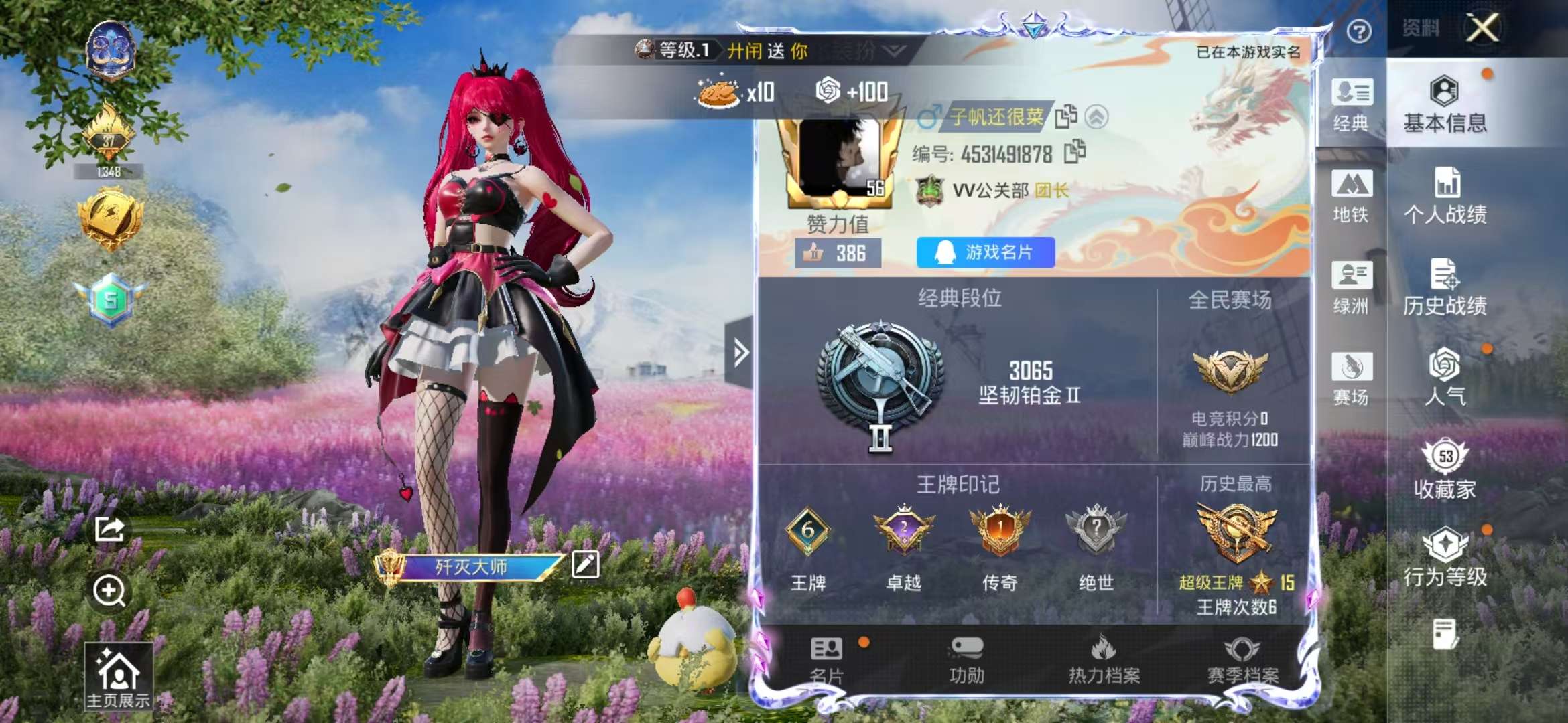 HPSJ414137和平精英账号详情图2