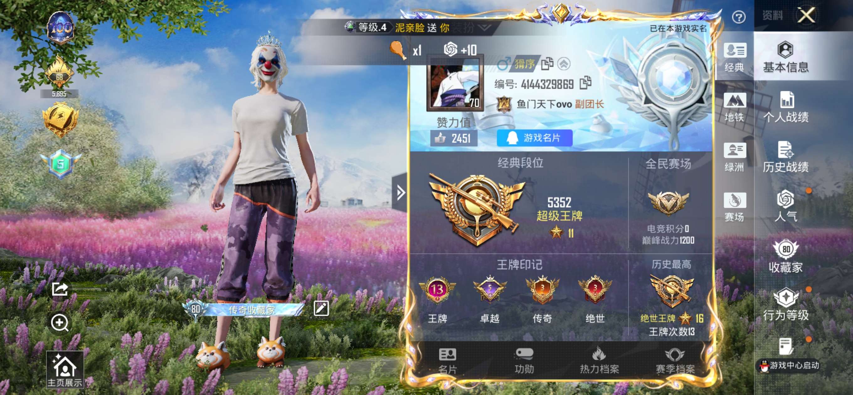 HPSJ420036和平精英账号详情图2