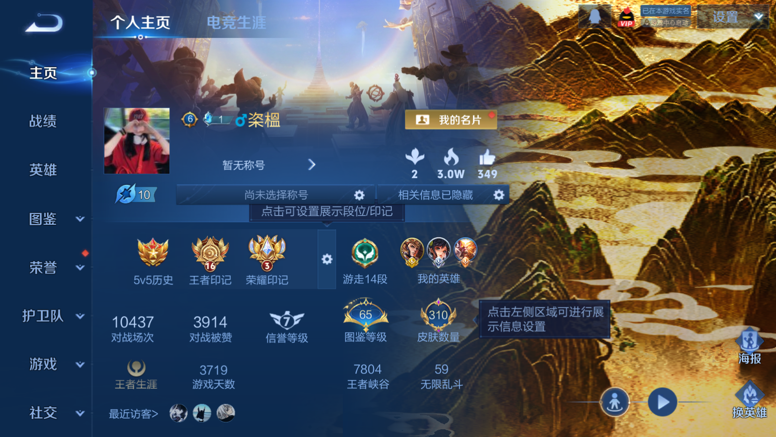 WZCMW439638王者荣耀账号详情图2