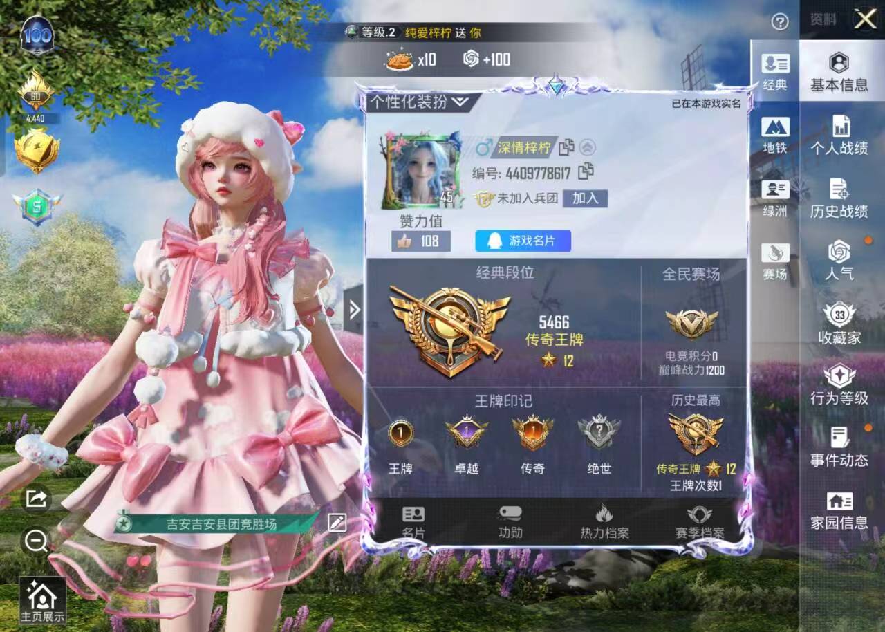 HPSJ421429和平精英账号详情图2