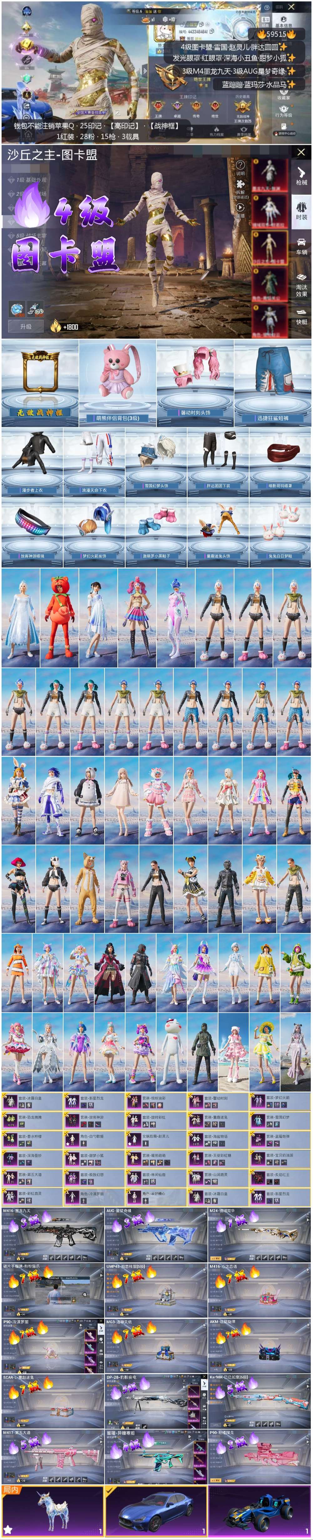 HPSJ455689和平精英账号详情图4