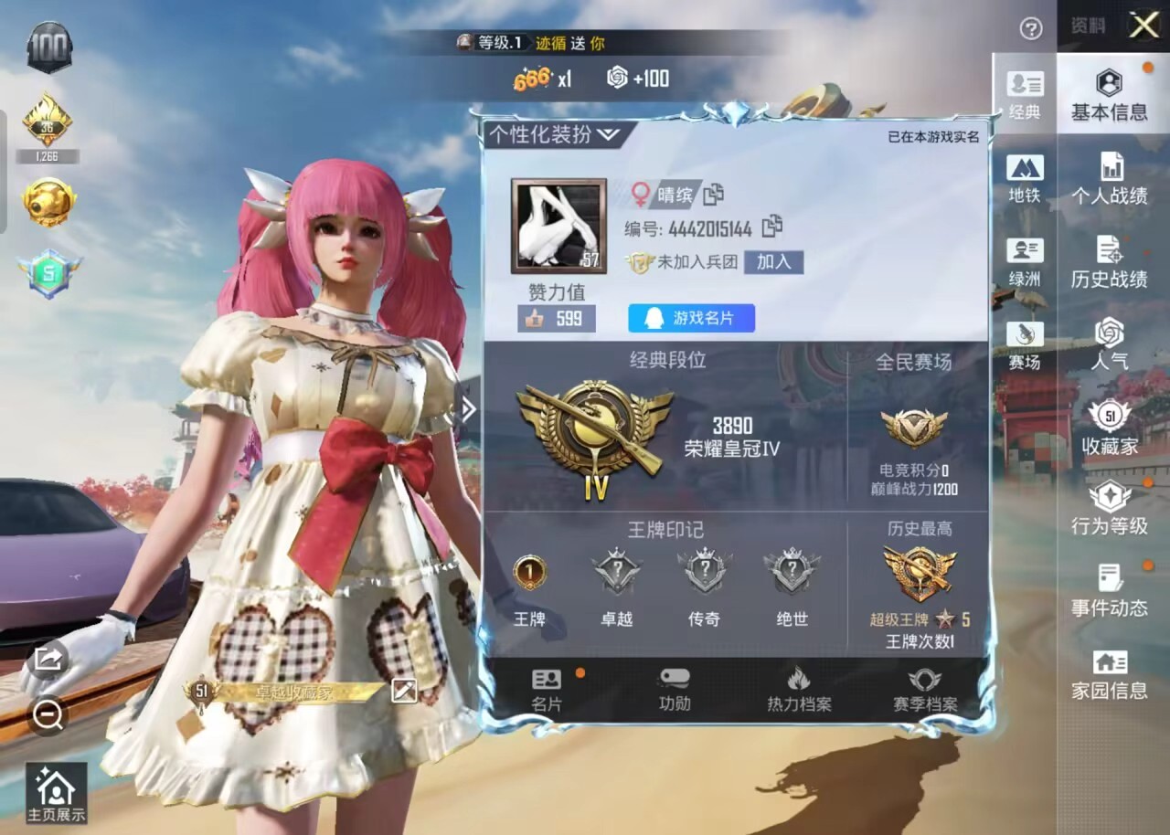 HPCMW455958和平精英账号详情图5