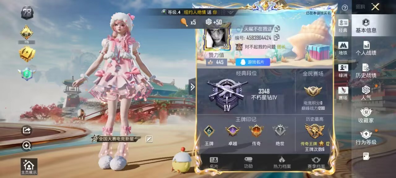 HPSJ455237和平精英账号详情图5