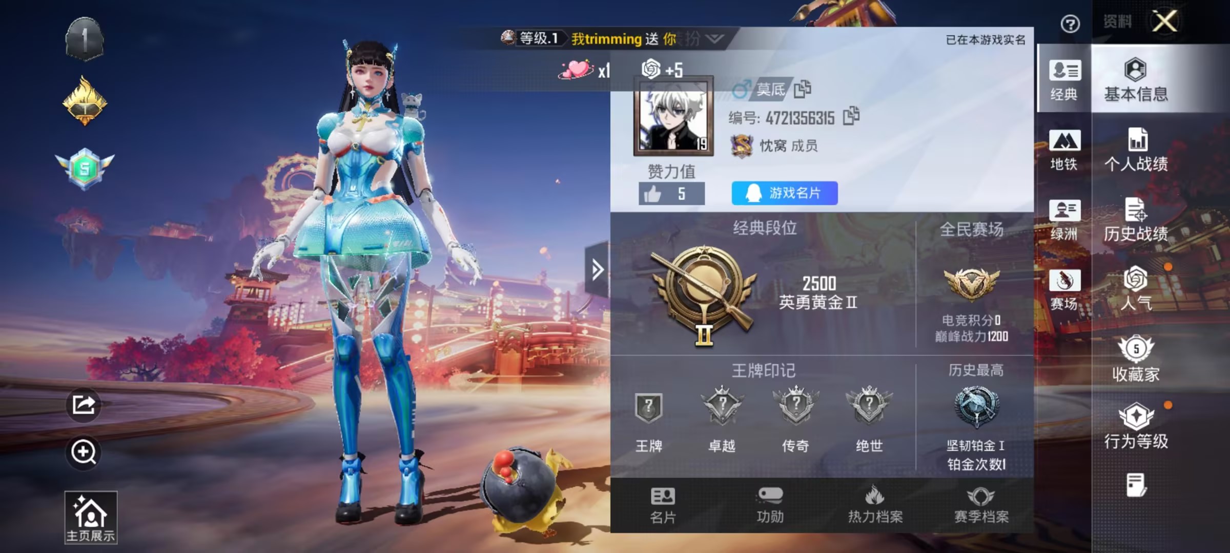 HPSJ478921和平精英账号详情图2