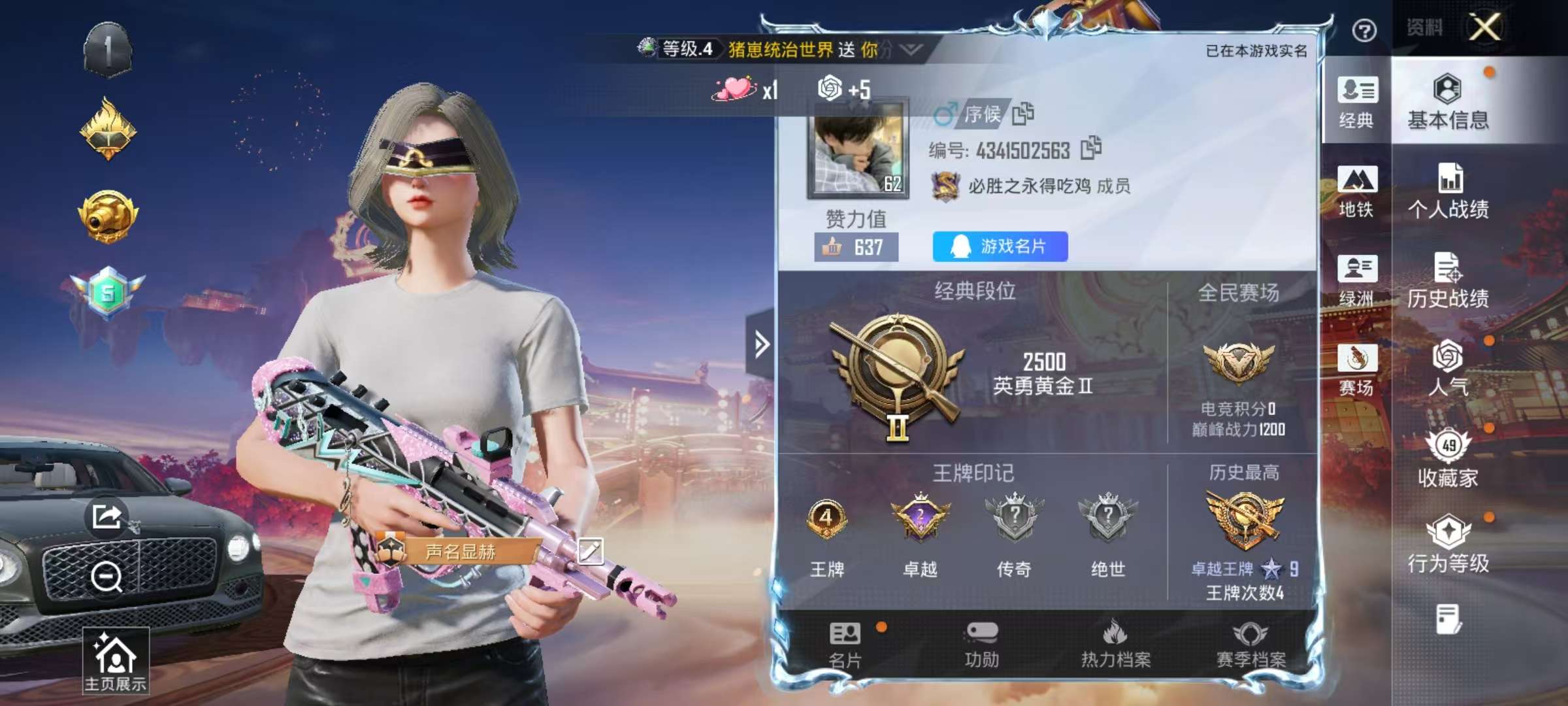 HPSJ477291和平精英账号详情图2