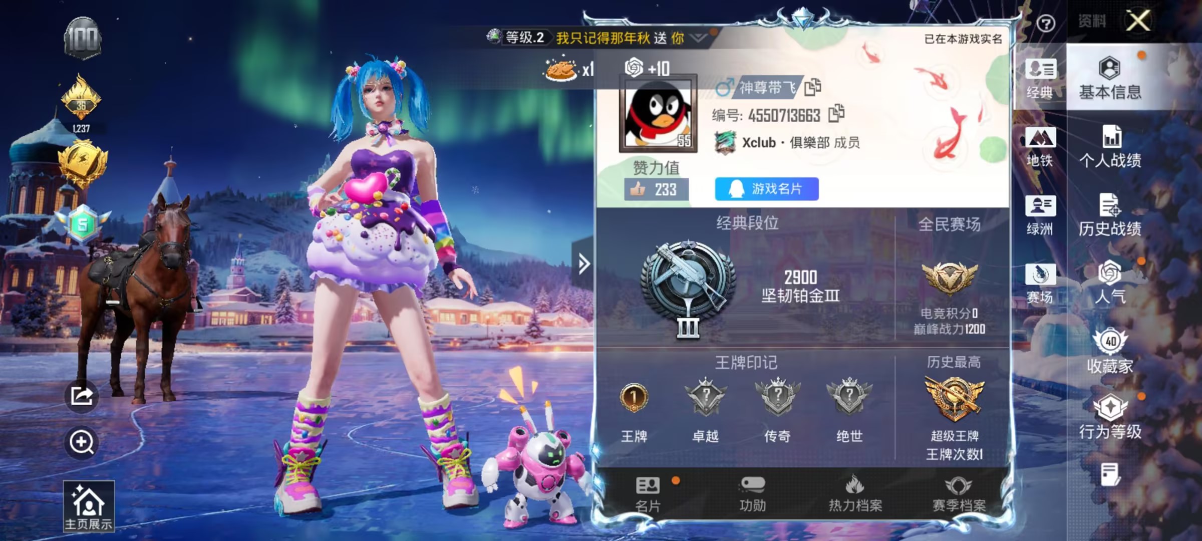 HPSJ479411和平精英账号详情图3