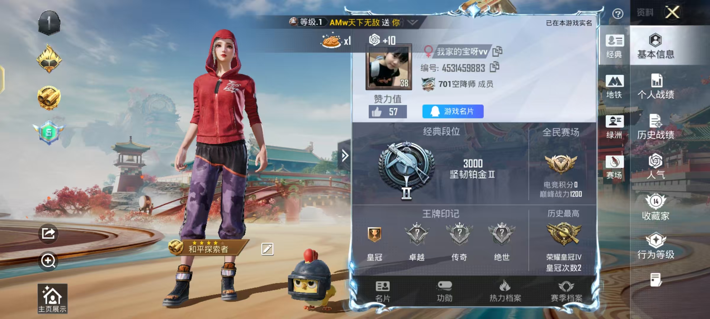 HPSJ480534和平精英账号详情图3