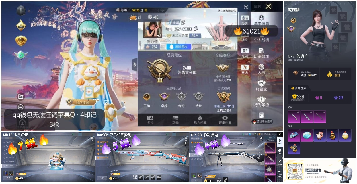 HPCMW485341和平精英账号详情图4