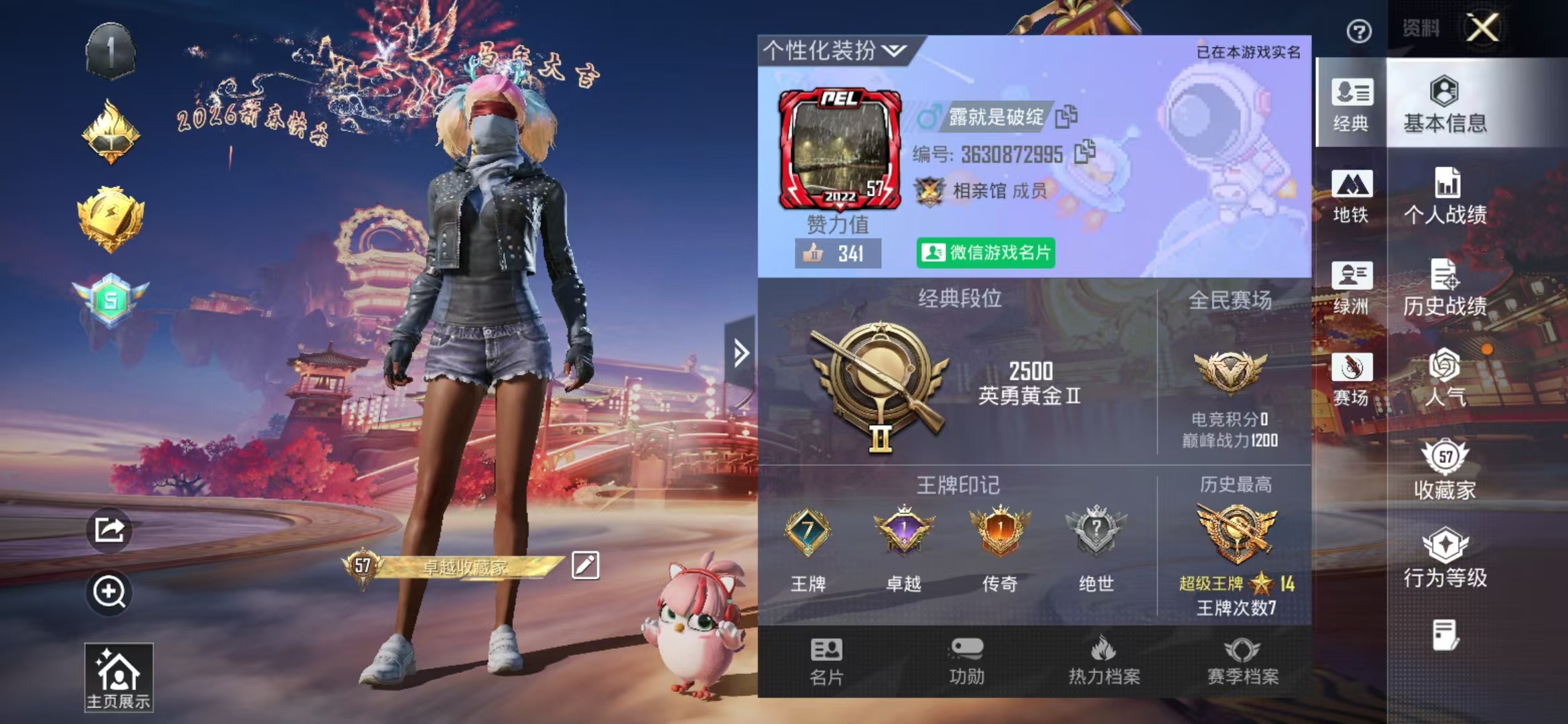 HPCMW487523和平精英账号详情图3 HPCMW487523和平精英账号详情图3