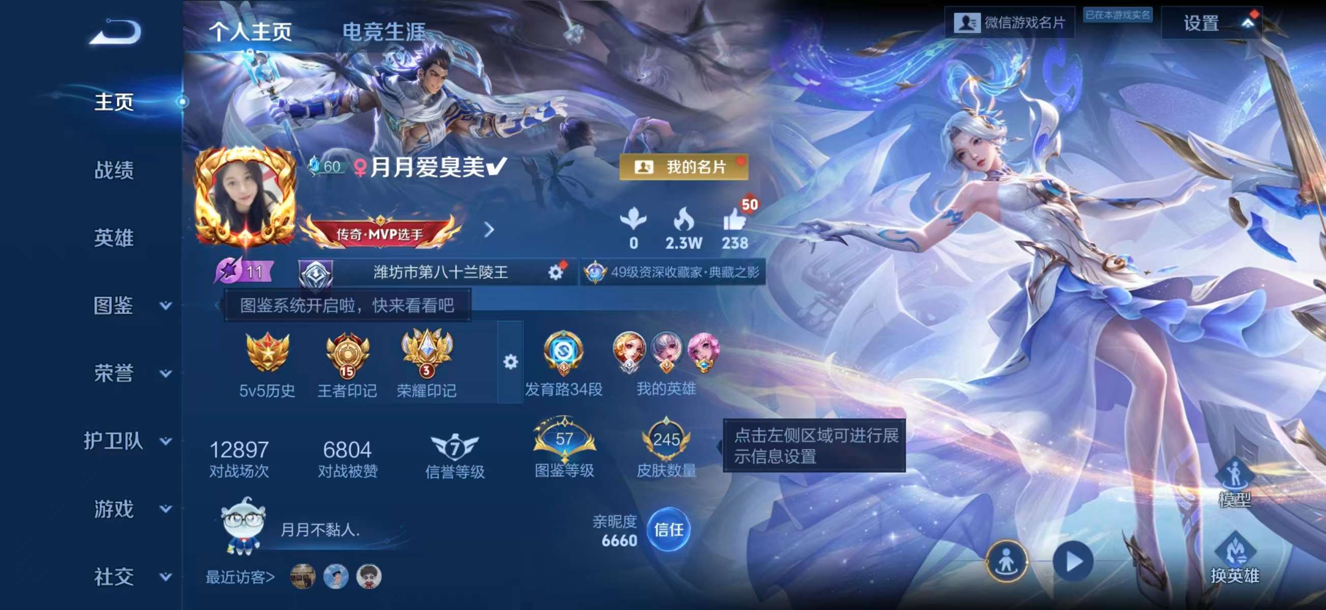 WZCMW4159191王者荣耀账号详情图2