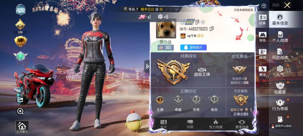 HPSJ490141和平精英账号详情图3