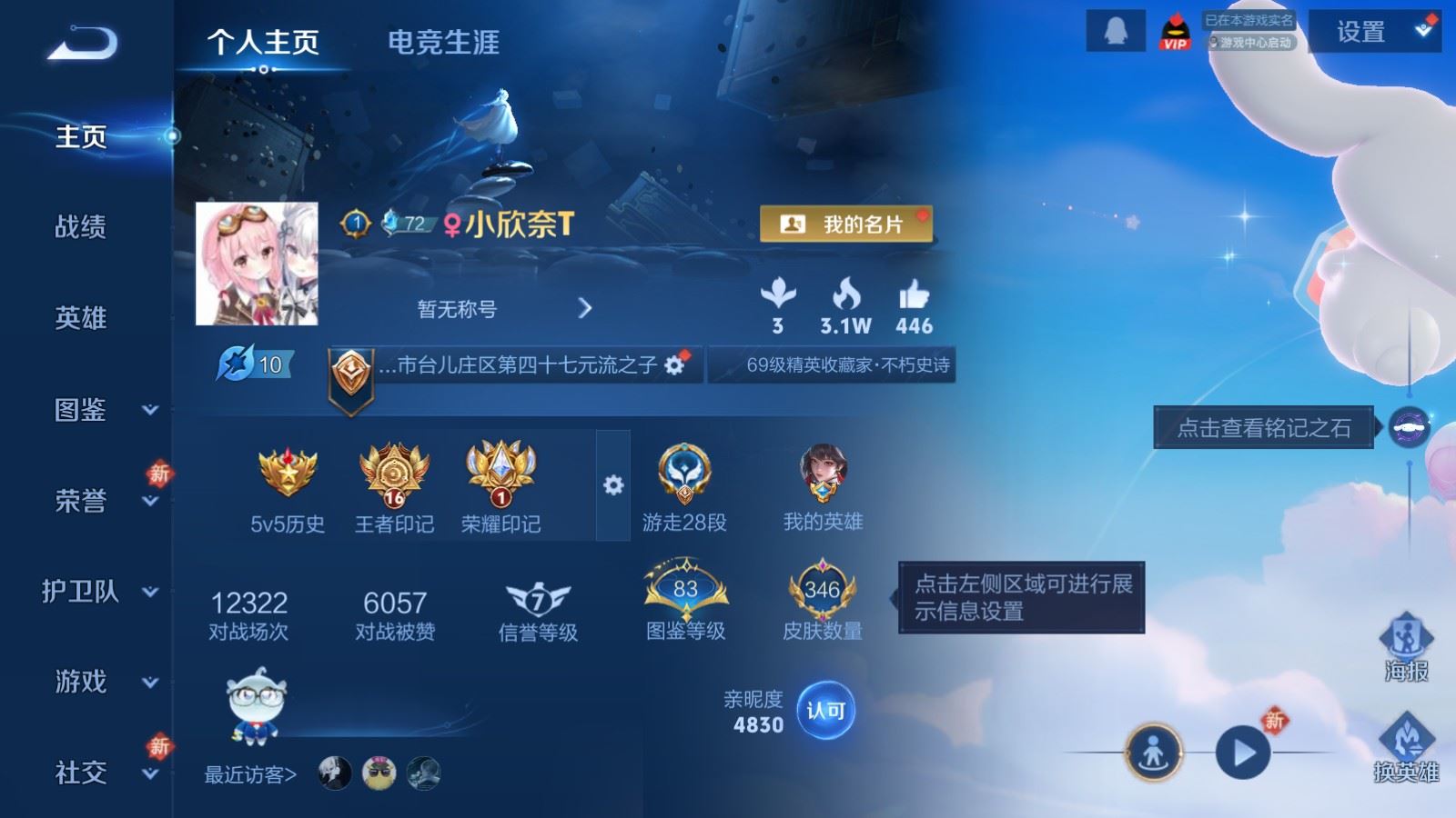 WZCMW4167652王者荣耀账号详情图2