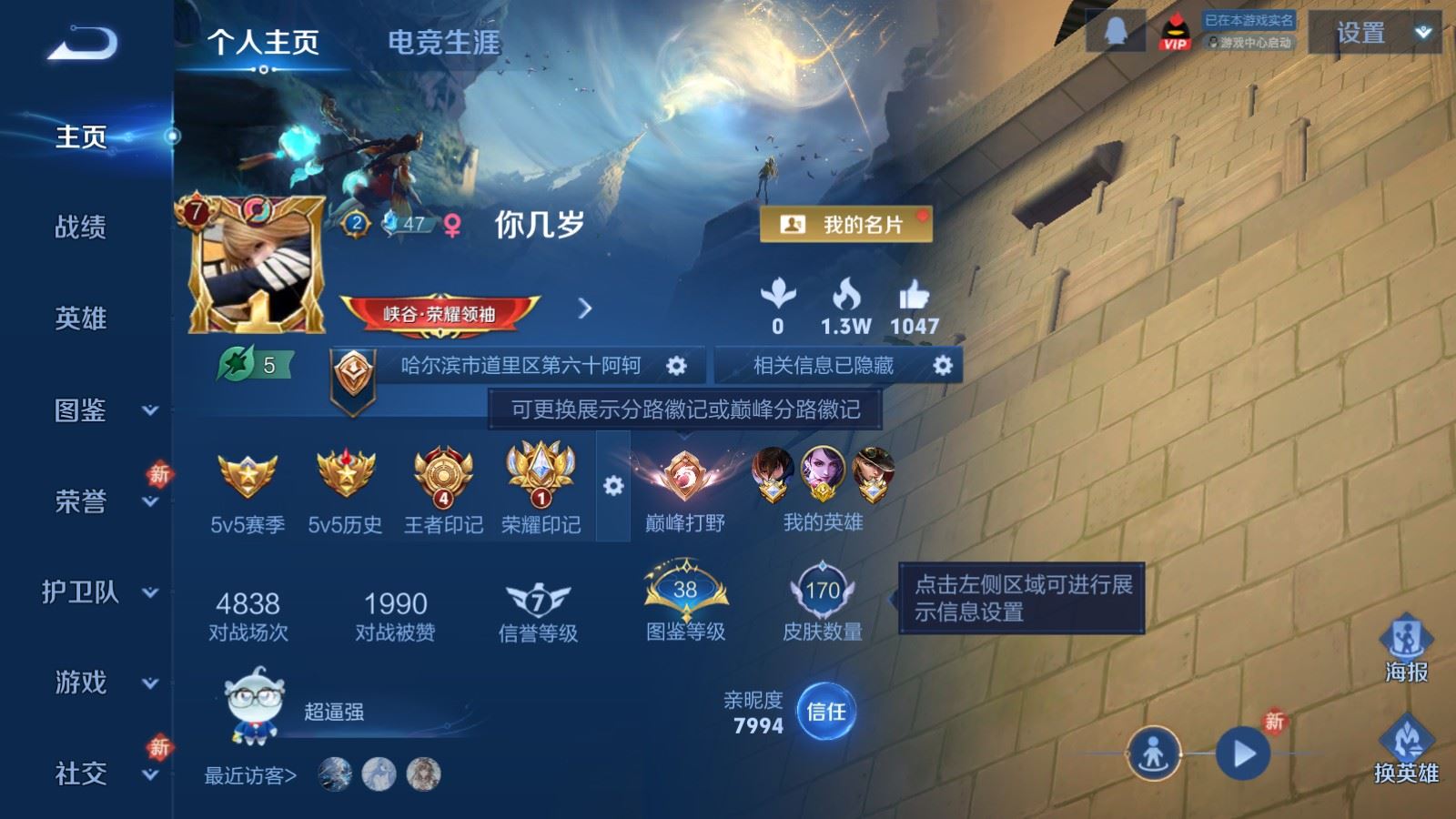 WZCMW4117350王者荣耀账号详情图2