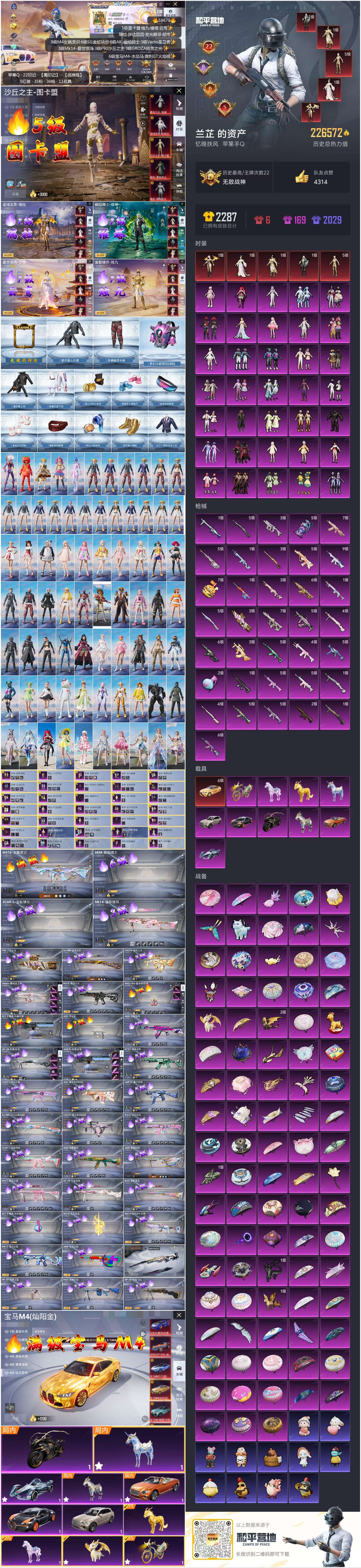 HPSJ457213和平精英账号详情图2