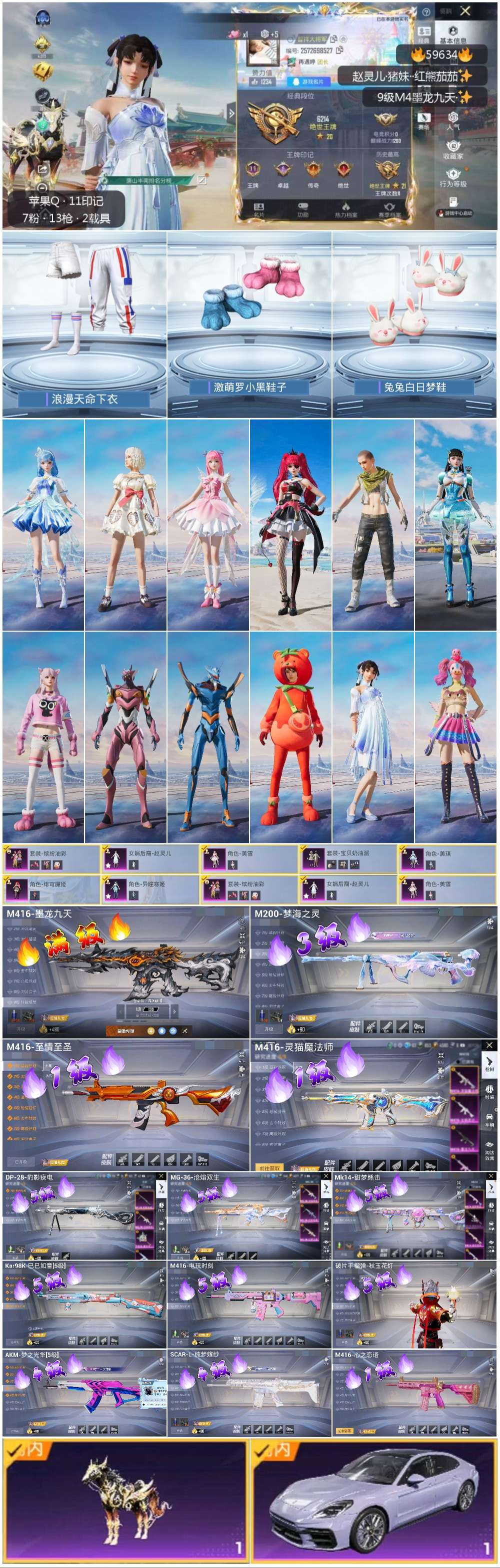 HPCMW457406和平精英账号详情图2