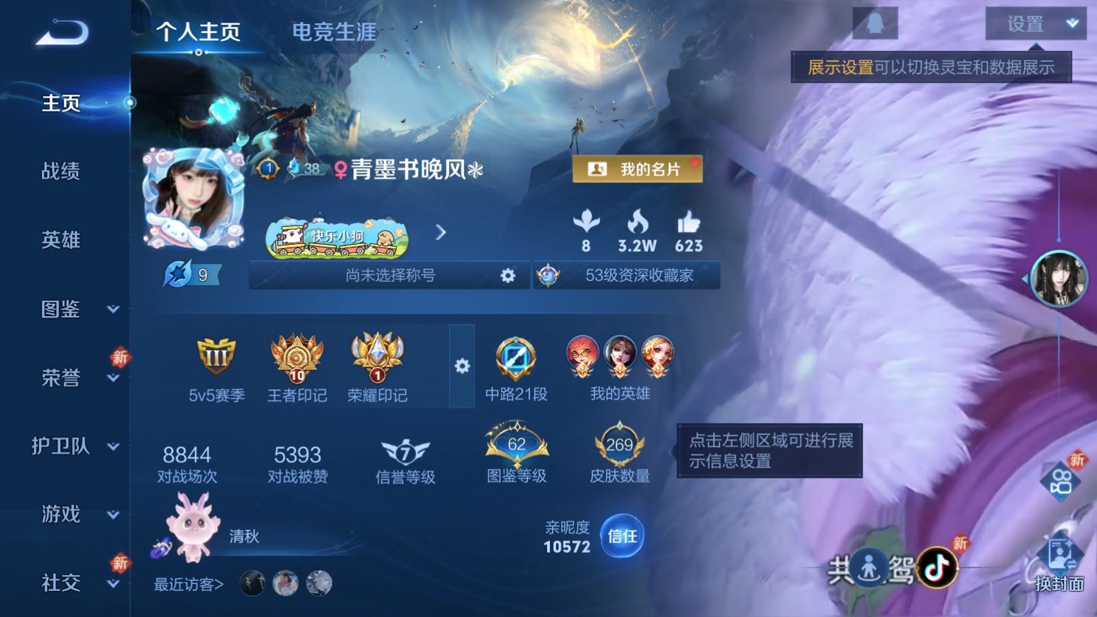 WZCMW4116420王者荣耀账号详情图2