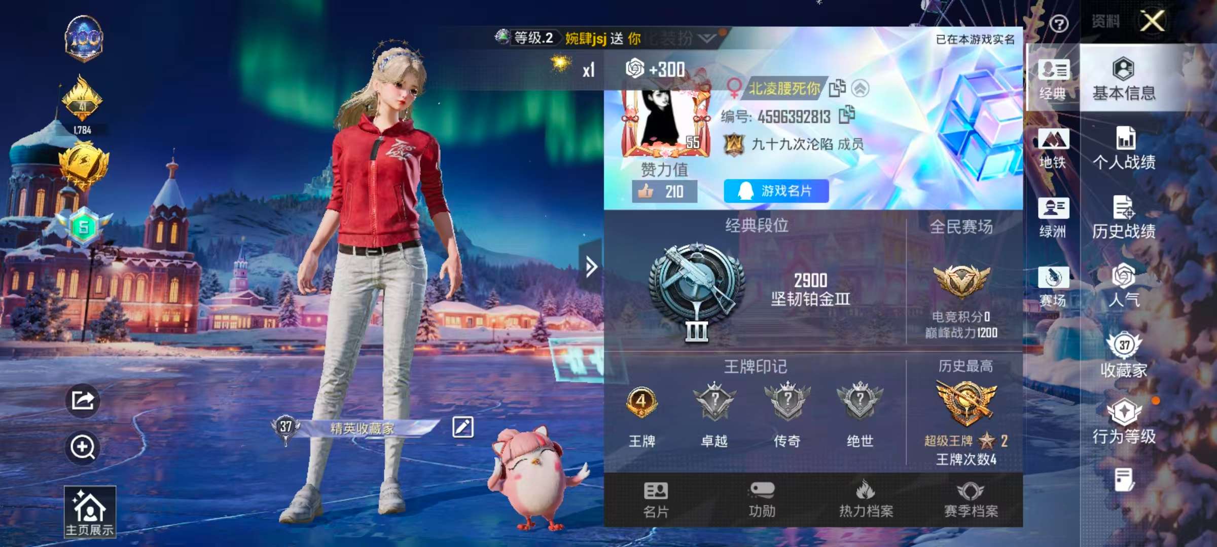 HPSJ456901和平精英账号详情图3