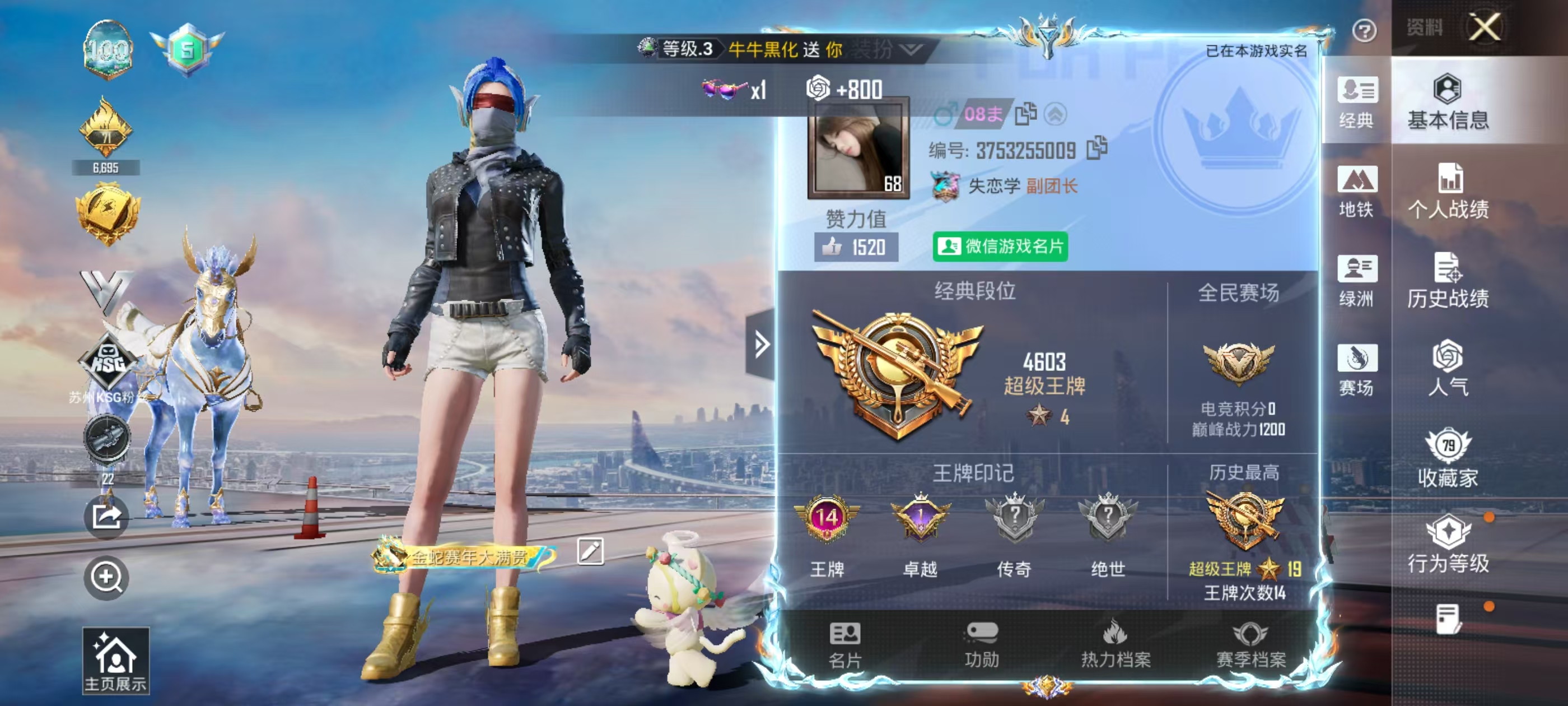 HPSJ494803和平精英账号详情图3