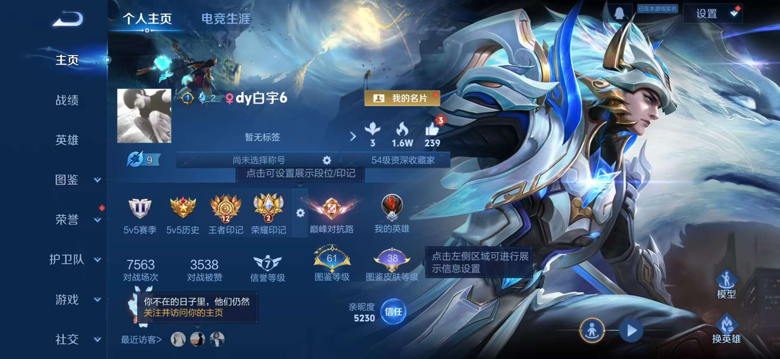 WZCMW4179224王者荣耀账号详情图2