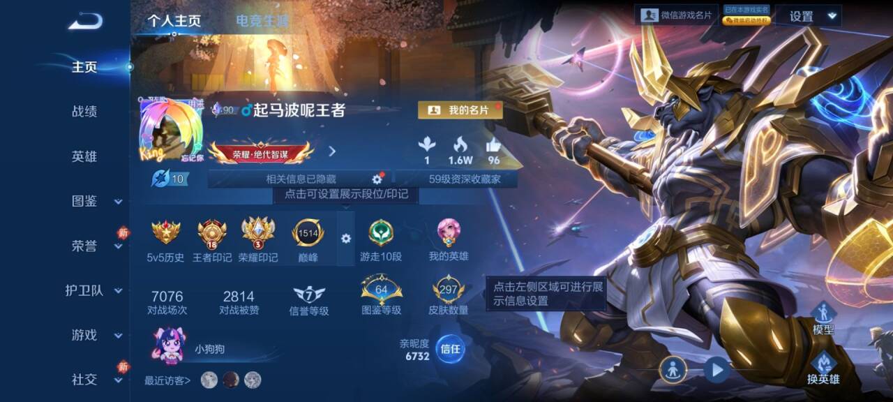 WZCMW4178324王者荣耀账号详情图2