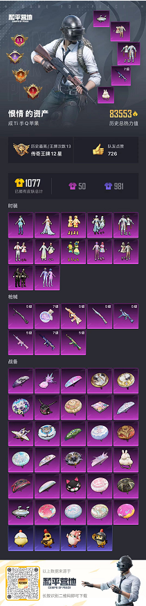 HPCMW460984和平精英账号详情图5