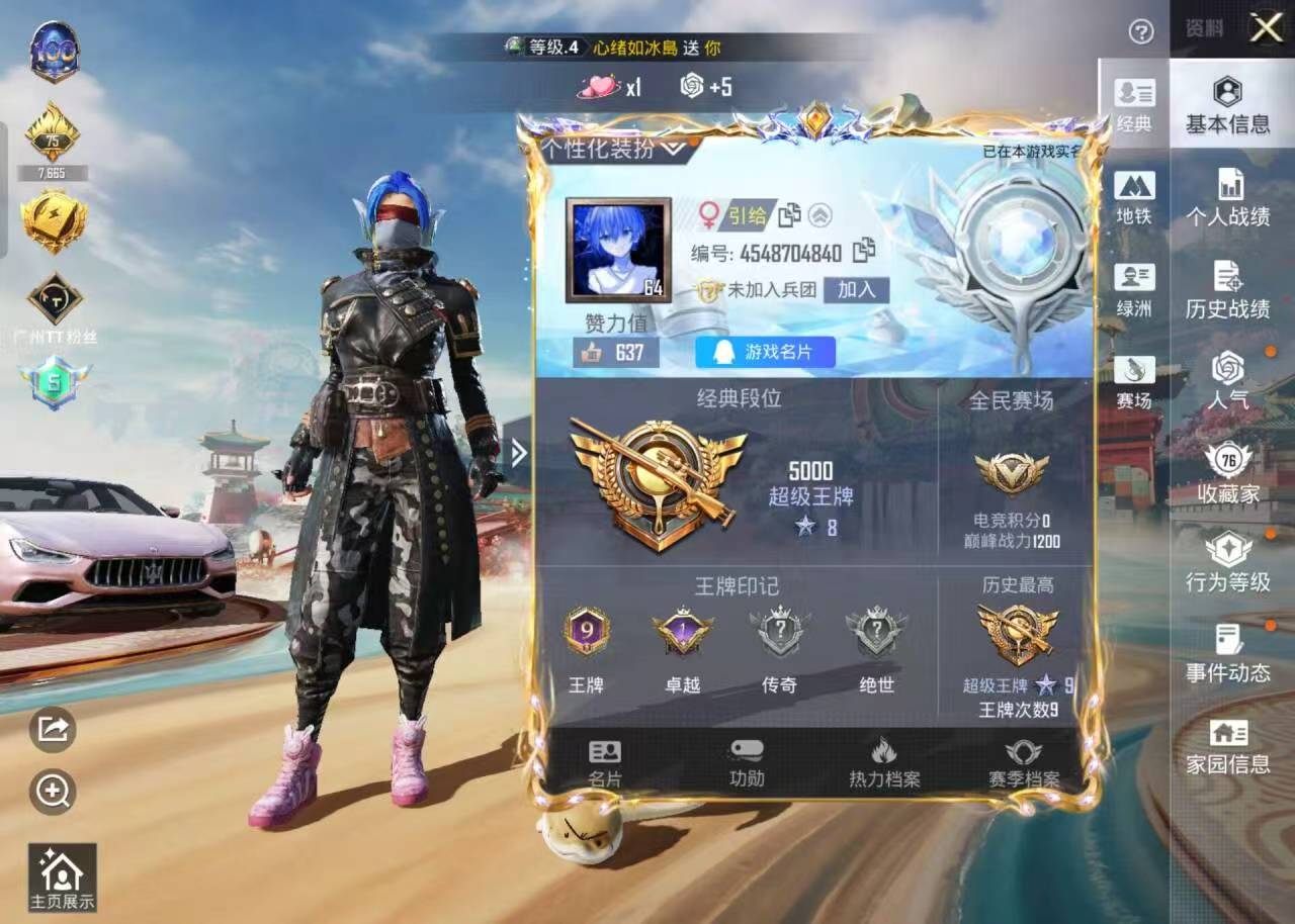 HPSJ460133和平精英账号详情图5