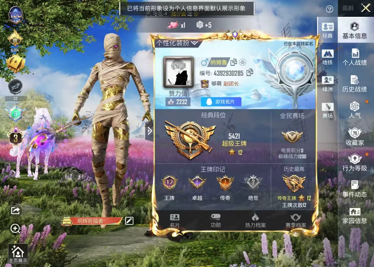 HPCMW460830和平精英账号详情图4