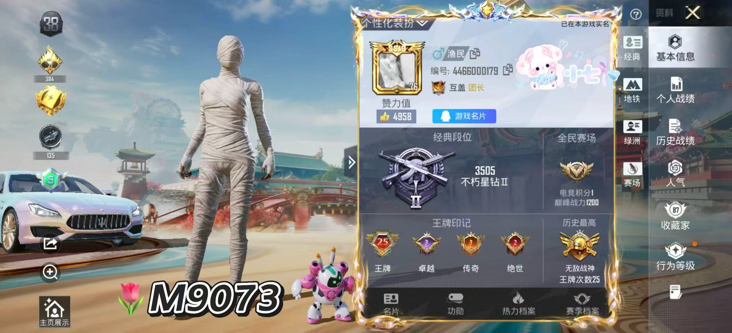 HPCMW3425665和平精英账号详情图2