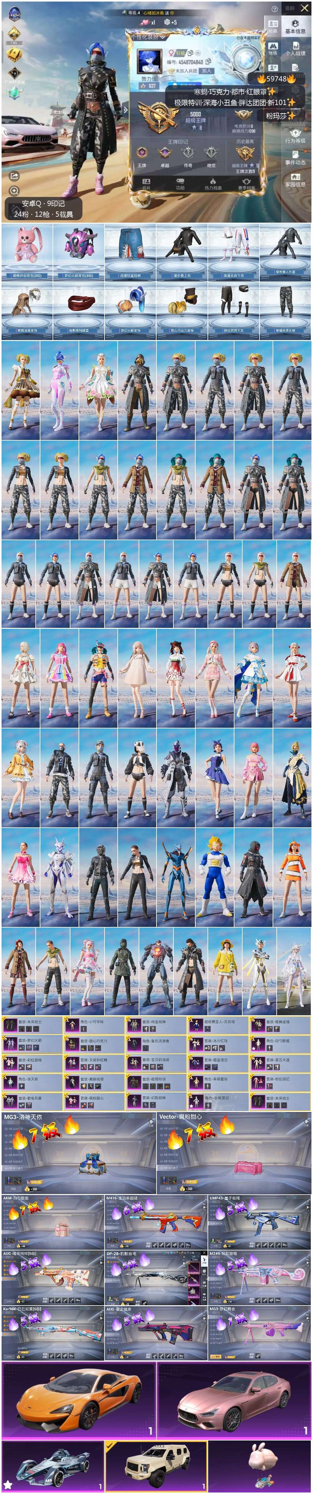 HPSJ460133和平精英账号详情图3