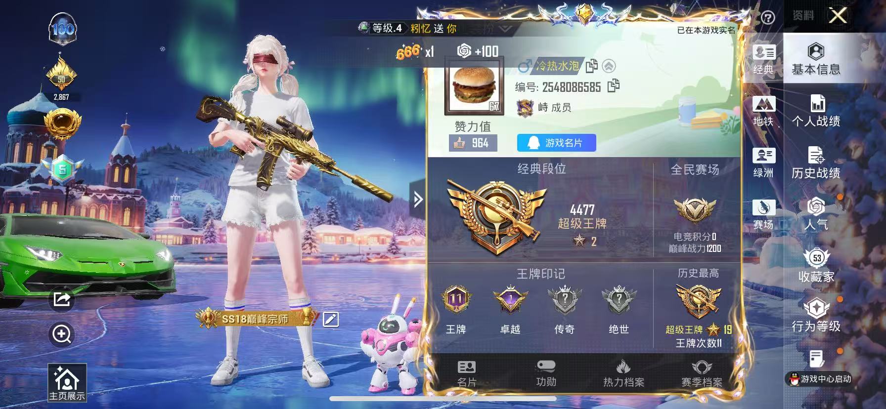 HPSJ459484和平精英账号详情图3