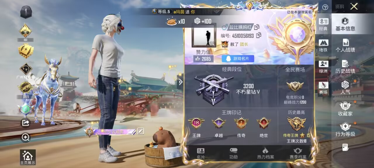 HPSJ461790和平精英账号详情图4