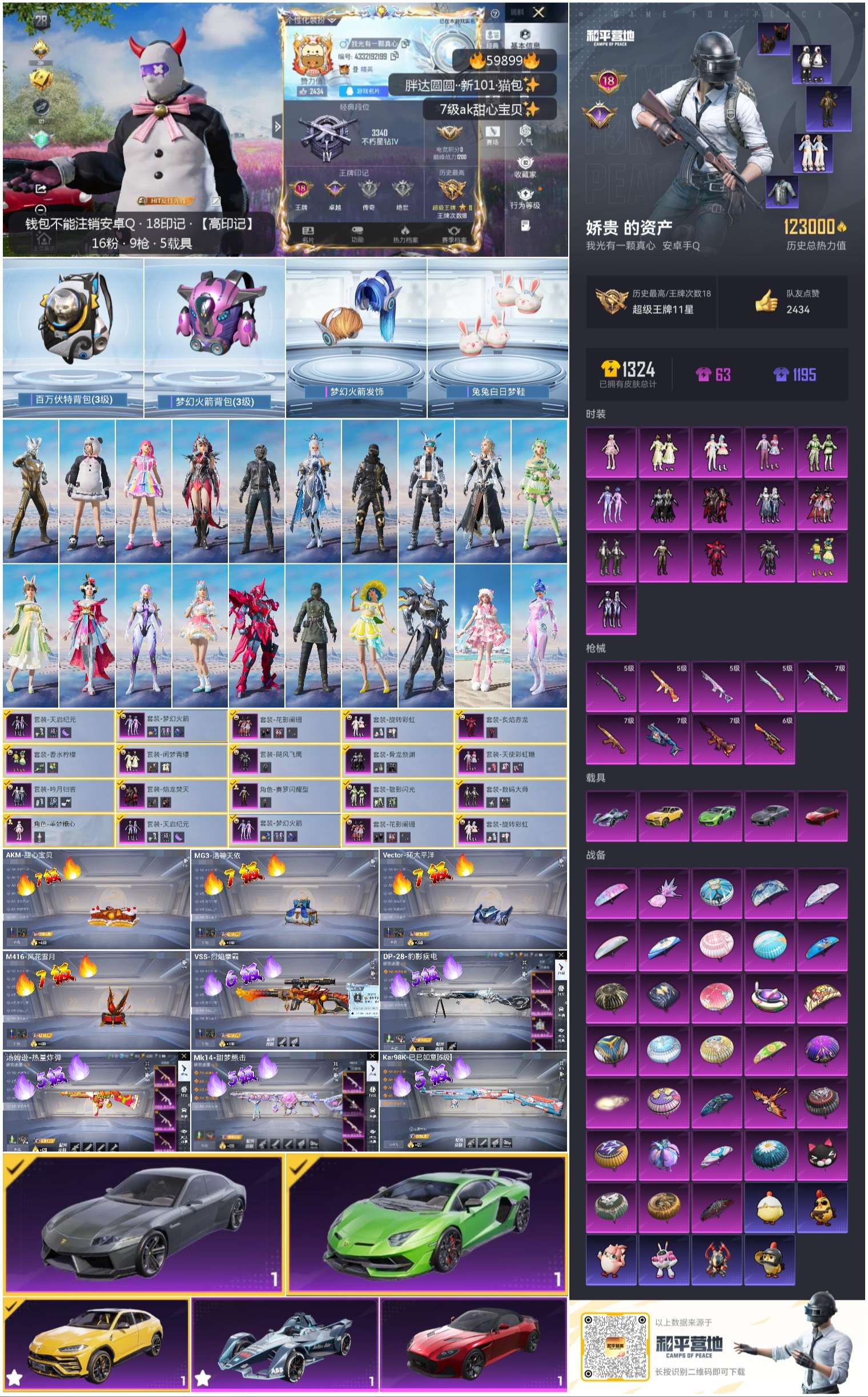 HPSJ462214和平精英账号详情图2