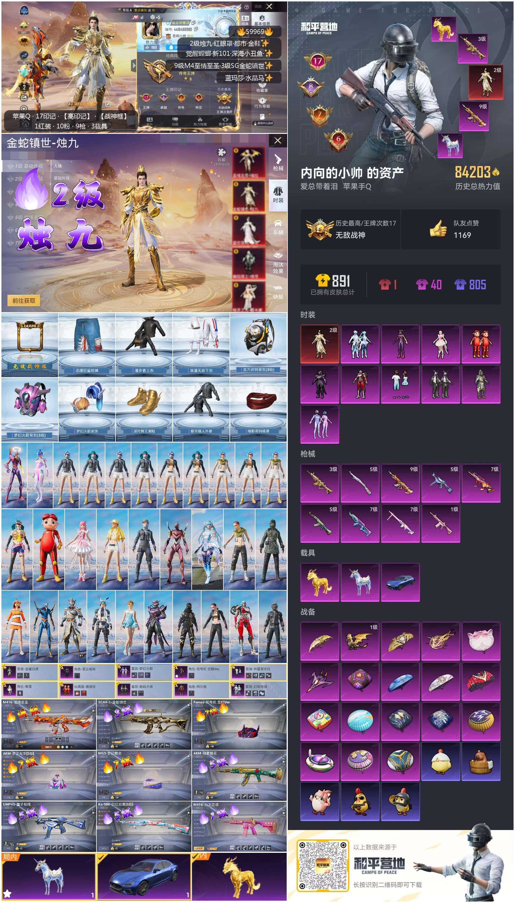 HPSJ462590和平精英账号详情图2