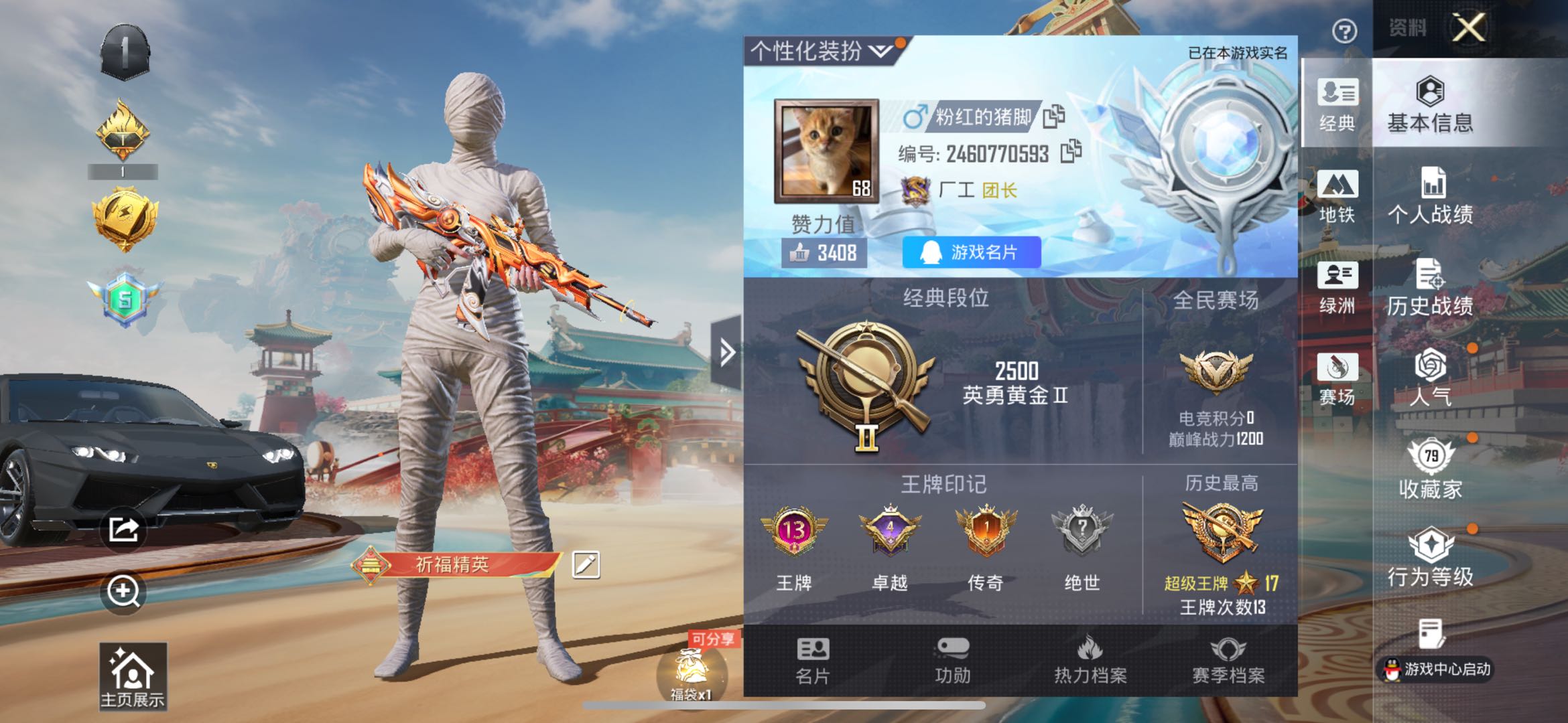 HPSJ462418和平精英账号详情图5