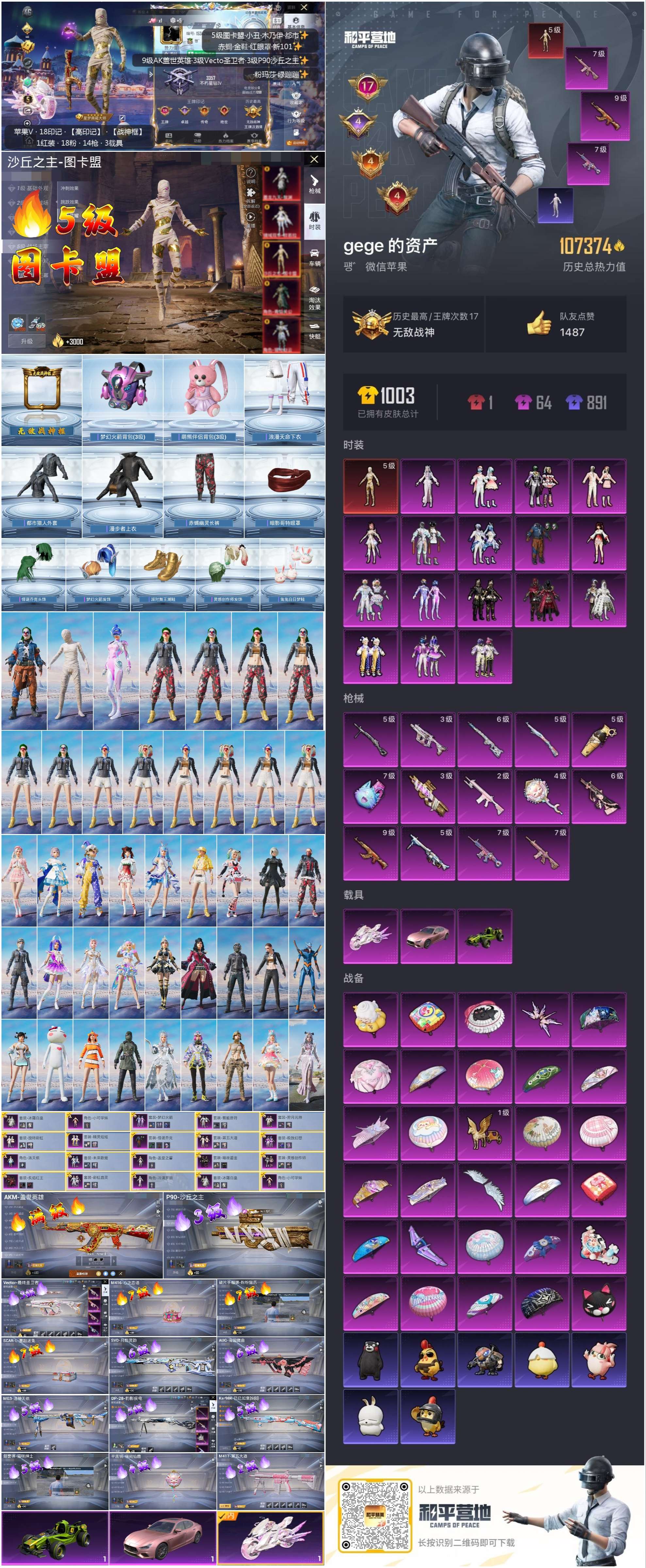 HPSJ465119和平精英账号详情图2