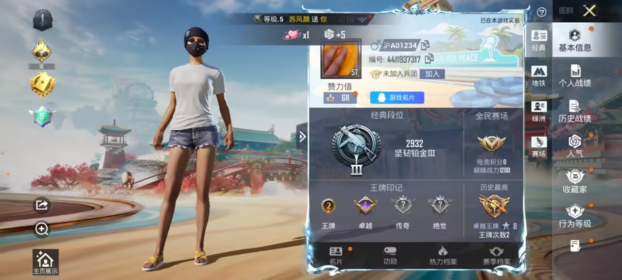 HPSJ467213和平精英账号详情图5