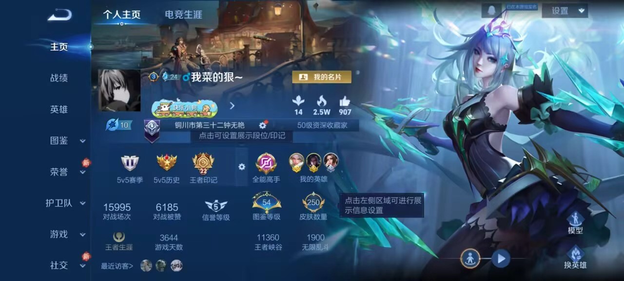 WZCMW4123752王者荣耀账号详情图2