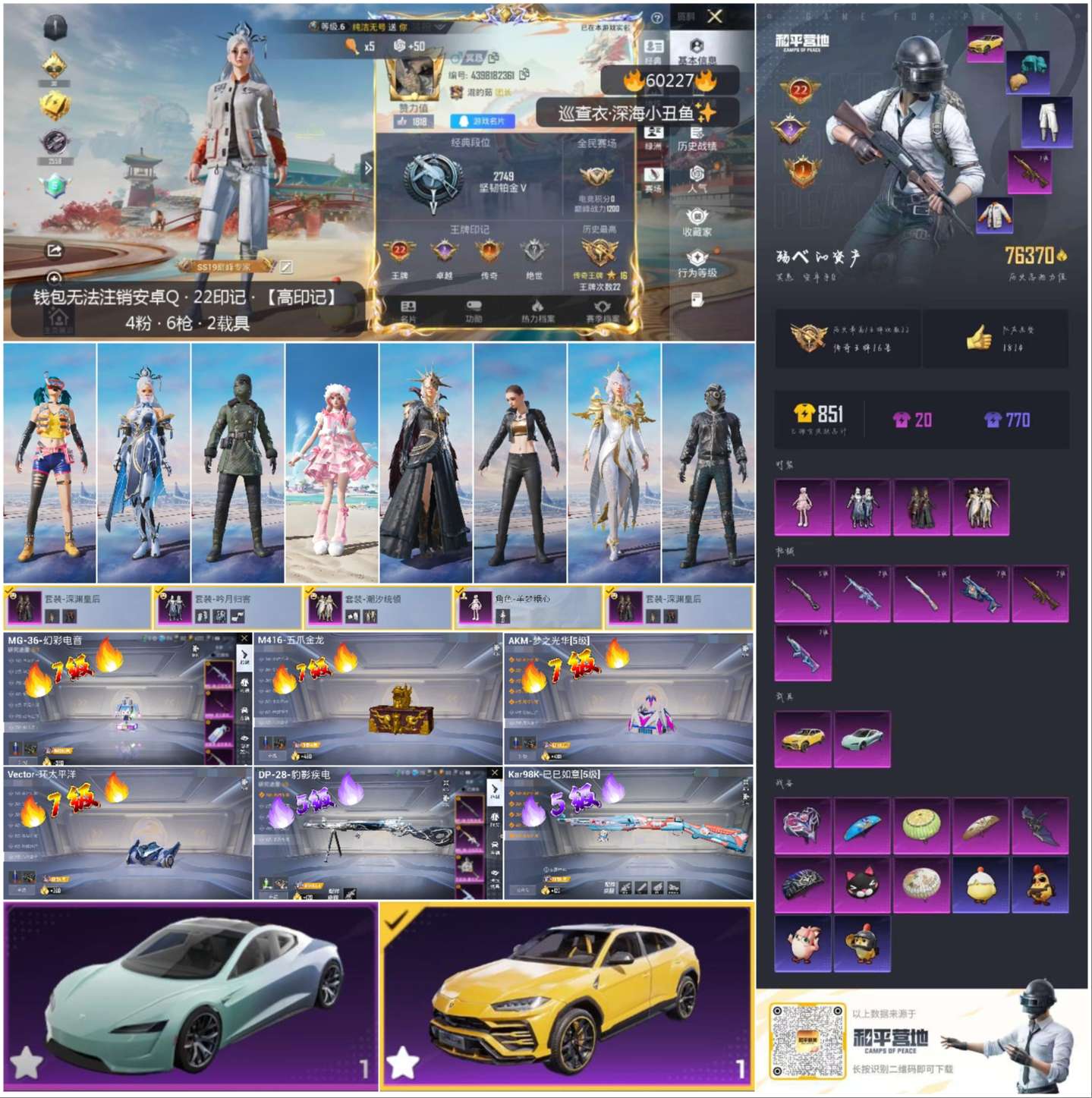 HPSJ469656和平精英账号详情图2