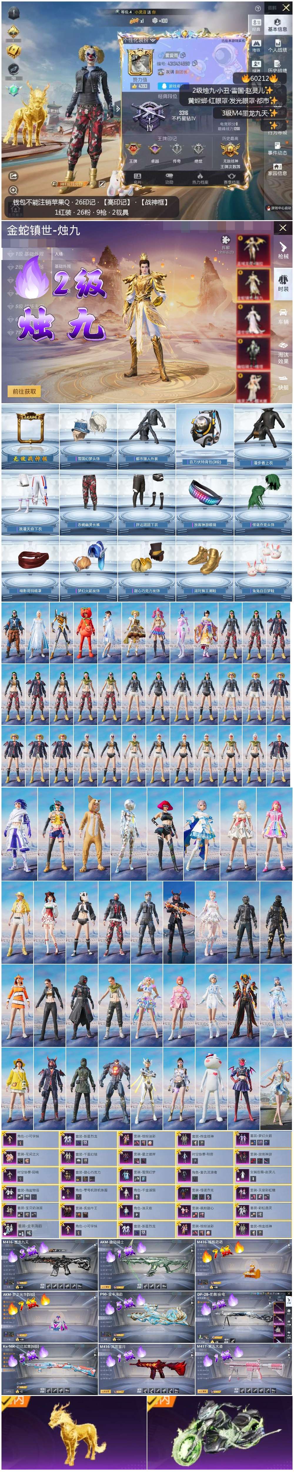 HPSJ469354和平精英账号详情图2