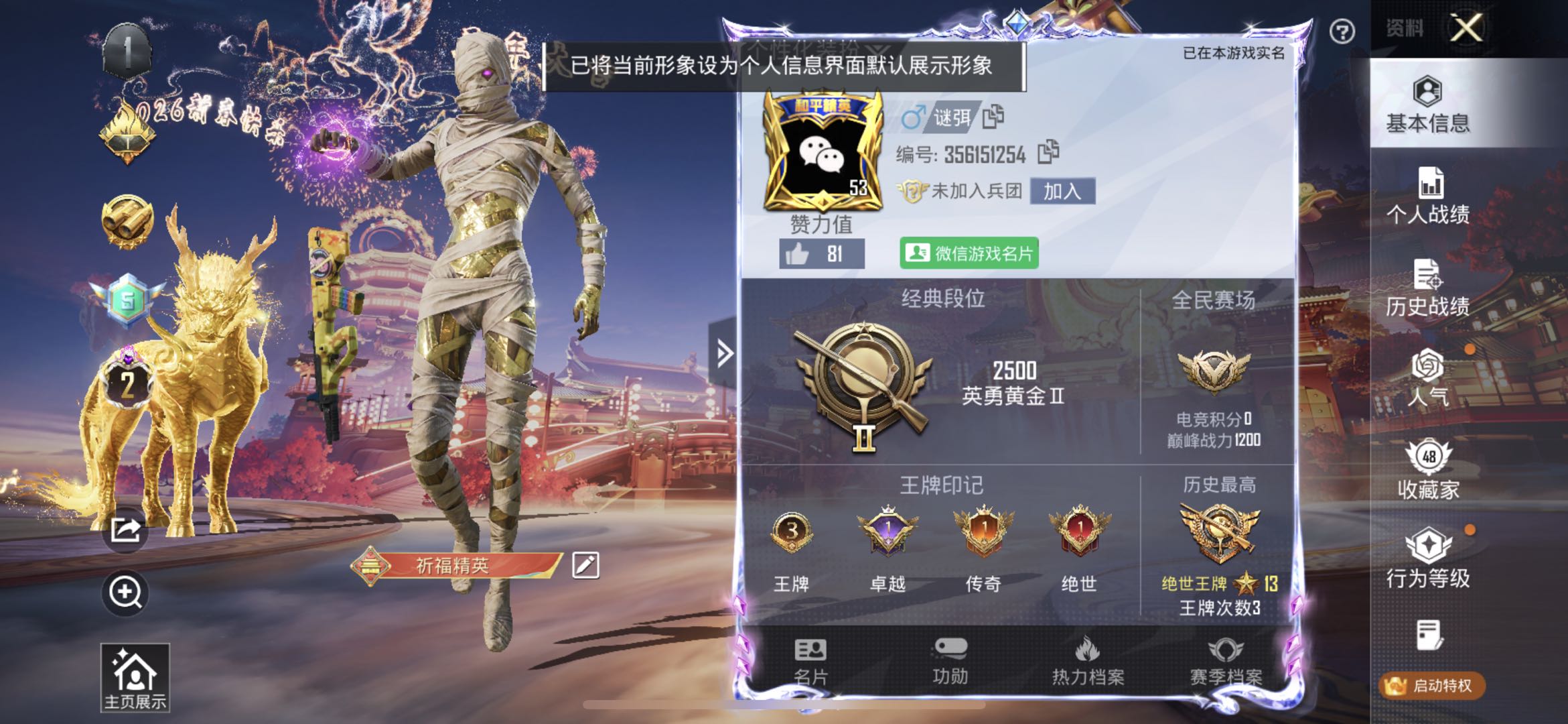 HPSJ469317和平精英账号详情图2