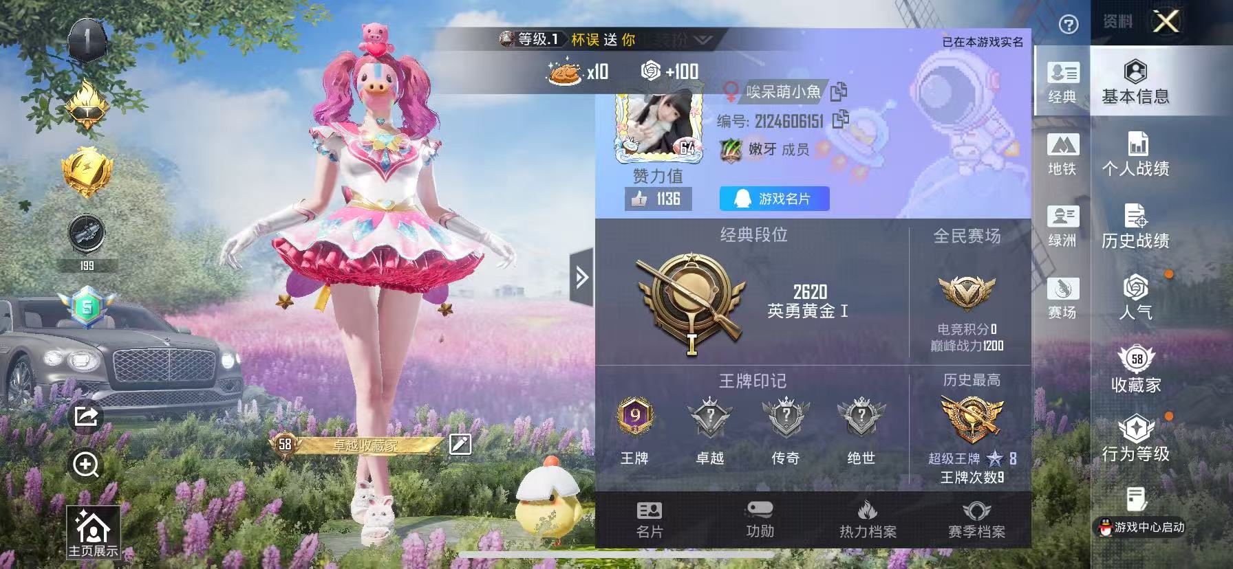 HPSJ471883和平精英账号详情图4