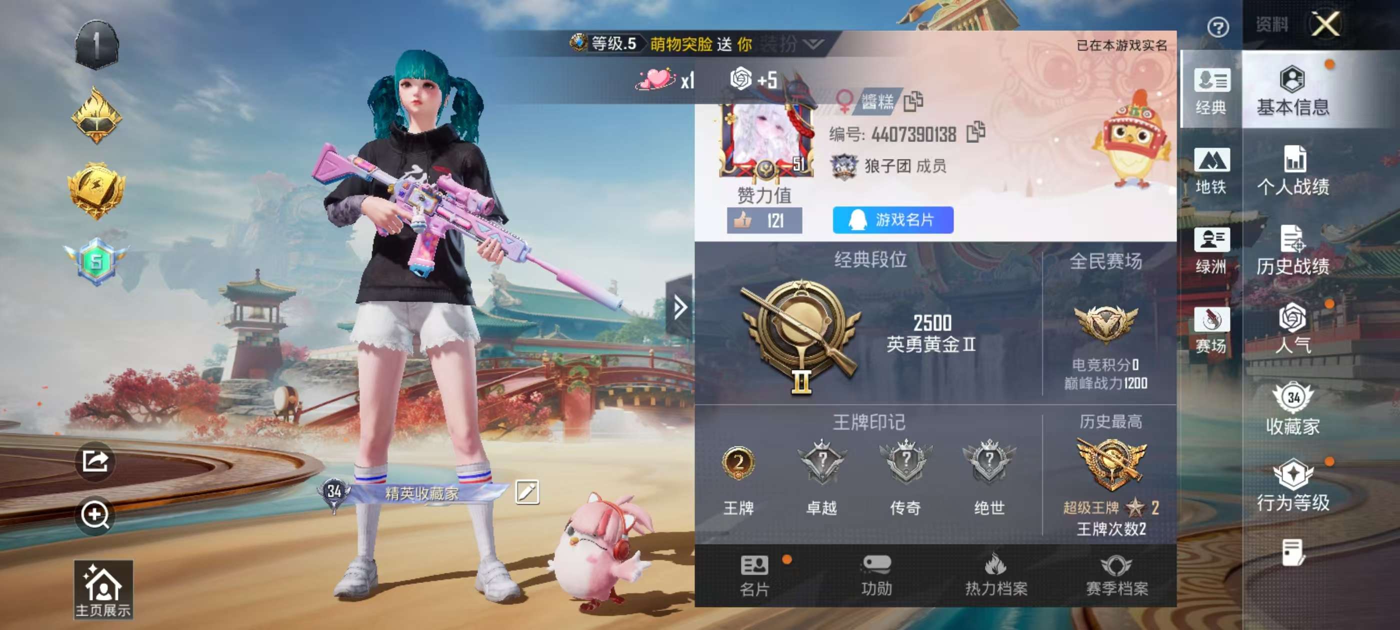 HPSJ473841和平精英账号详情图2