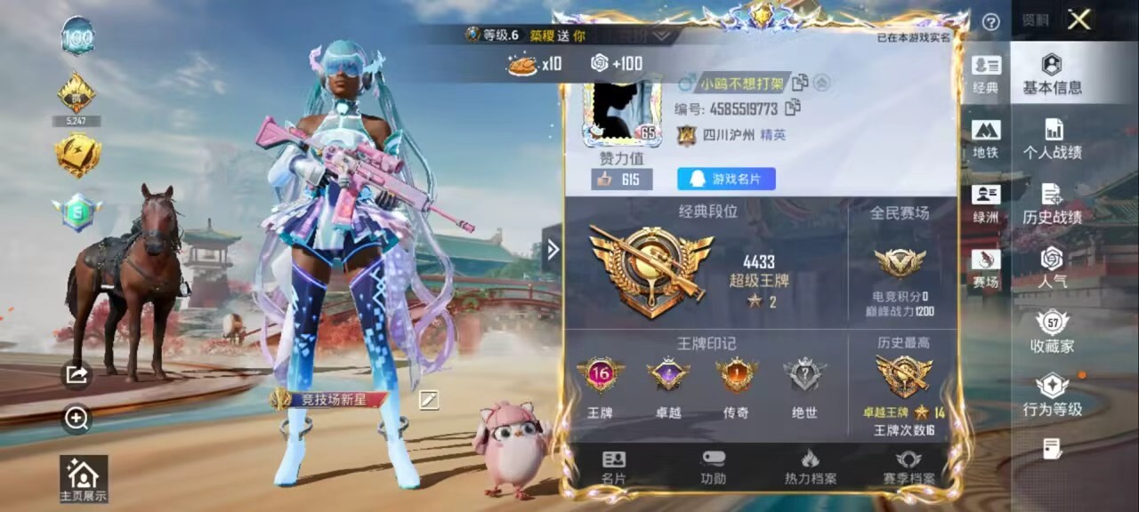 HPSJ4117080和平精英账号详情图3