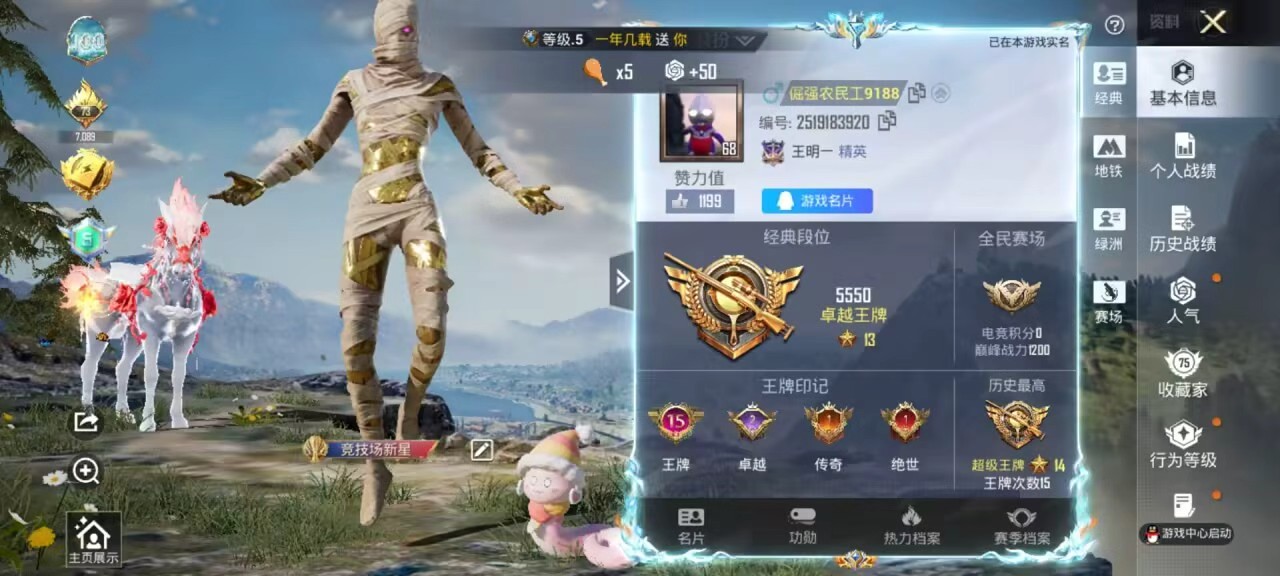 HPSJ4117993和平精英账号详情图3