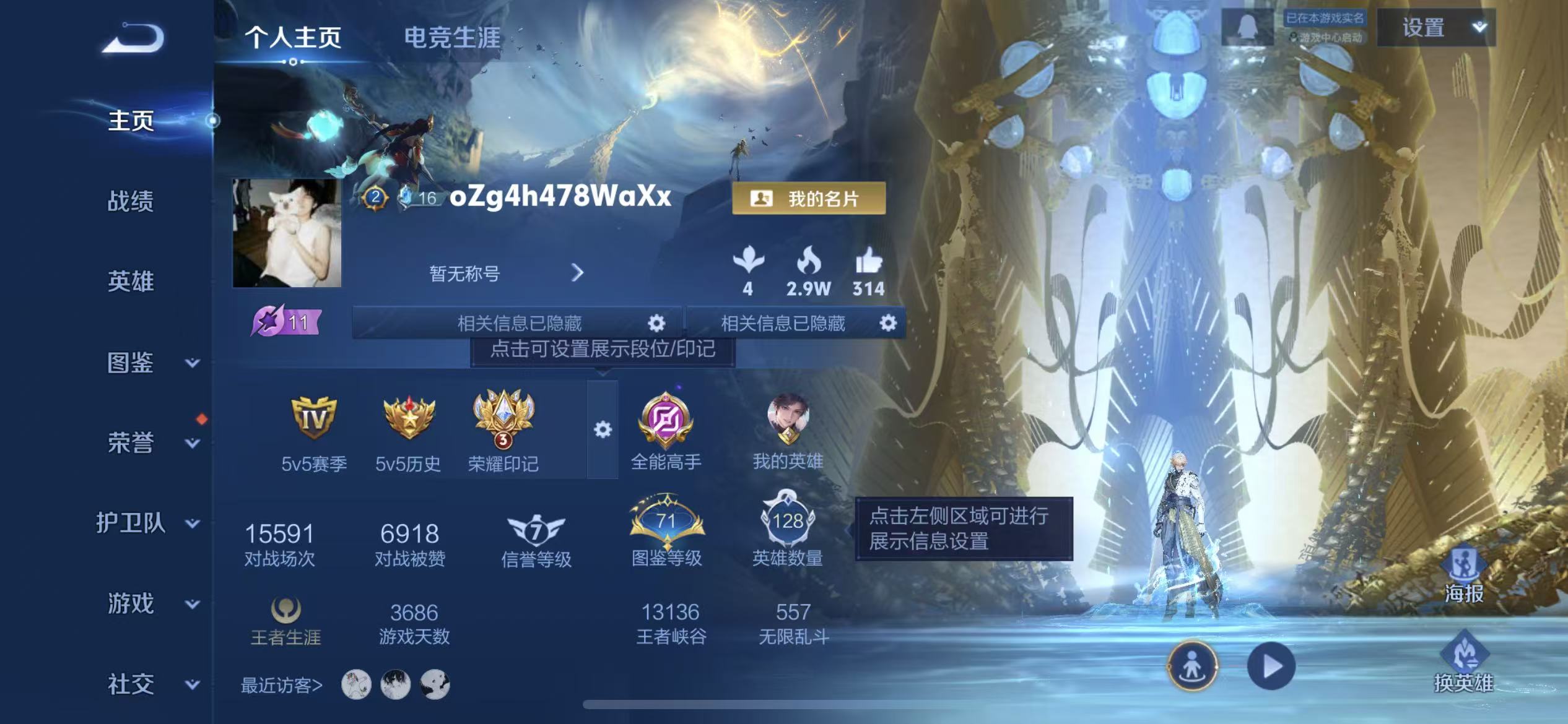 WZCMW4228855王者荣耀账号详情图2