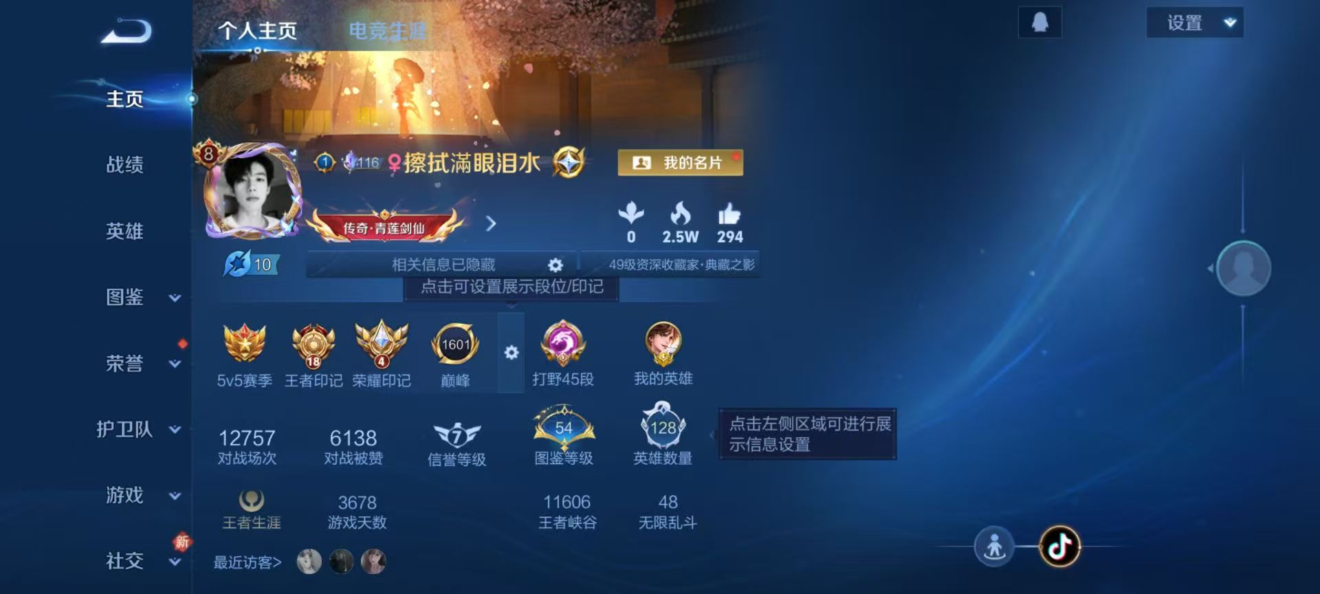 WZCMW4234011王者荣耀账号详情图2