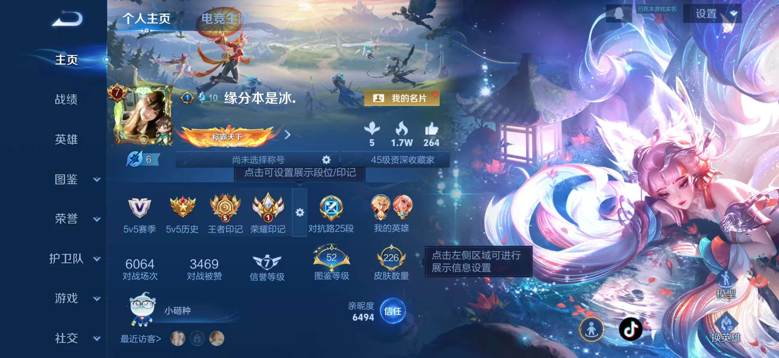 WZCMW4238846王者荣耀账号详情图2