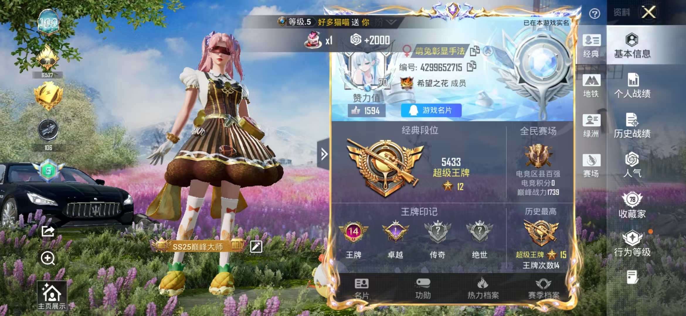 HPCMW4133470和平精英账号详情图3