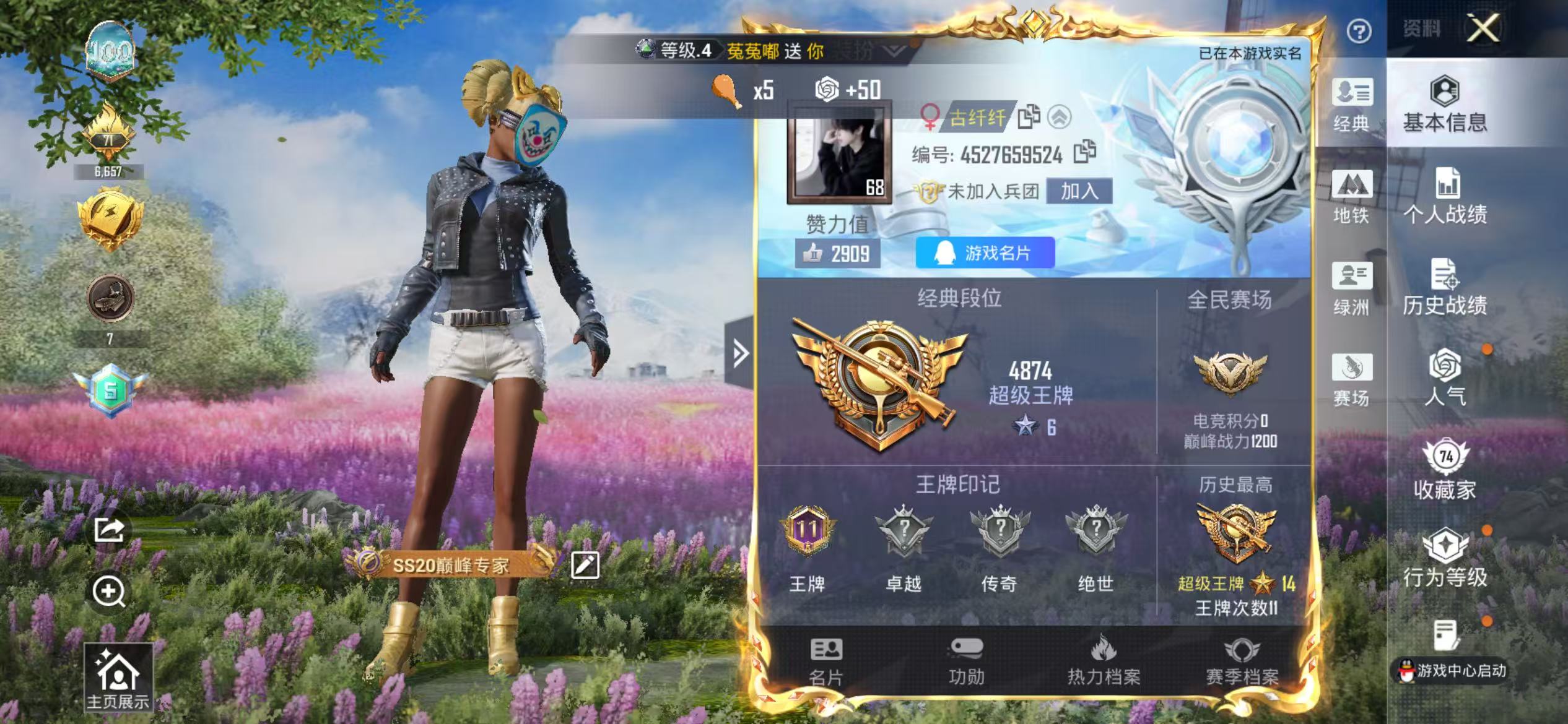 HPCMW4132603和平精英账号详情图3