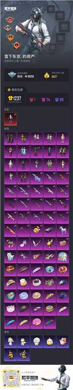 HPSJ4130915和平精英账号详情图2